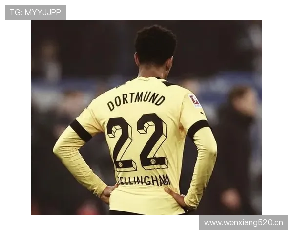 卡马文加与贝林厄姆：防守型与进攻型中场角色分野解析