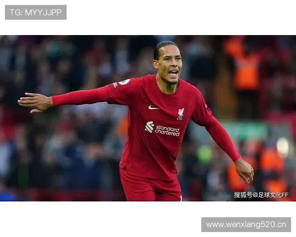 范戴克：欧足联年度最佳球员中的中卫代表解析