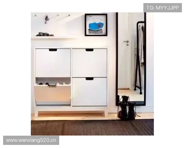 任子威下赛季的鞋柜不知道得有多夸张，普通人一辈子攒不出一双价钱吧？